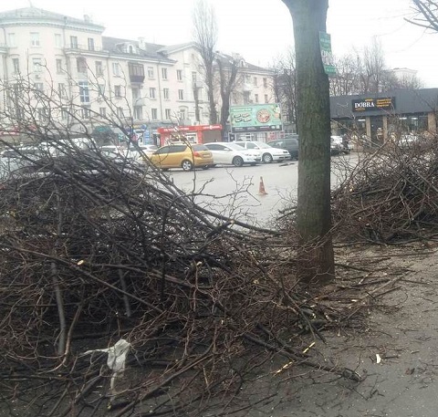 Коммунальщики г. Каменское продолжают обрезку деревьев Днепродзержинск