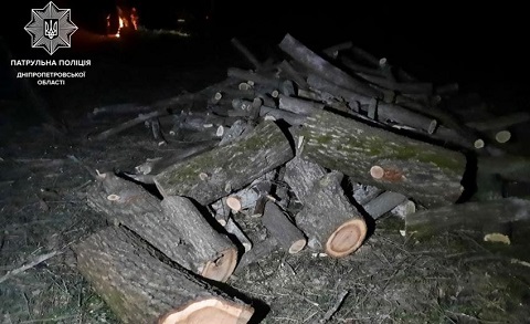 В Каменском районе выявили десять «черных лесорубов» Днепродзержинск
