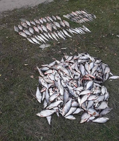 На Каменском водохранилище рыбоохранный патруль провёл рейд Днепродзержинск