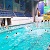 В Каменском завершили открытый Кубок федерации плавания