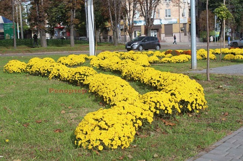 Каменское украшают цветами Днепродзержинск