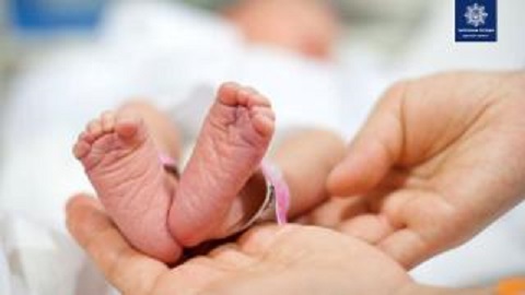 В Каменском за семидневку родились 20 малышей Днепродзержинск