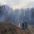 Каменской район стал одним из лидеров по числу пожаров в экосистемах