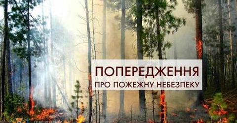 Под г. Каменское ликвидировали возгорание в лесу Днепродзержинск