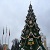 В Каменском установят 18-метровую  городскую ёлку