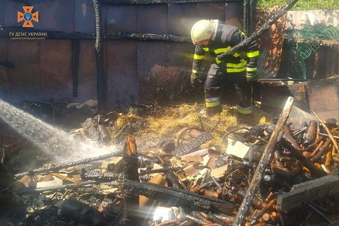 В Каменском ликвидировали пожар по улице Польской Днепродзержинск