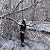 В Каменском районе в результате непогоды упало дерево