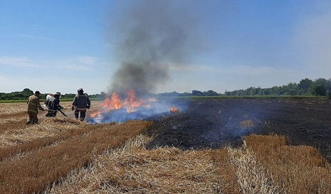 В Каменском районе спасатели ликвидировали пожар в экосистеме Днепродзержинск