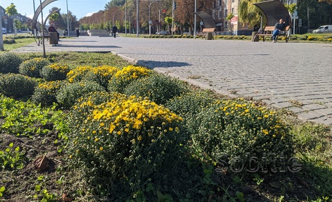 В центральном сквере г. Каменское  высадили цветы Днепродзержинск