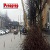 Коммунальщики г. Каменское продолжают обрезку деревьев
