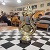 В Каменском провели чемпионат города по молниеносным шахматам