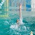 В Каменском проходят соревнования  Кубка федерации по плаванию
