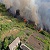 Спасатели Каменского района напомнили жителям об опасности летних пожаров в экосистеме